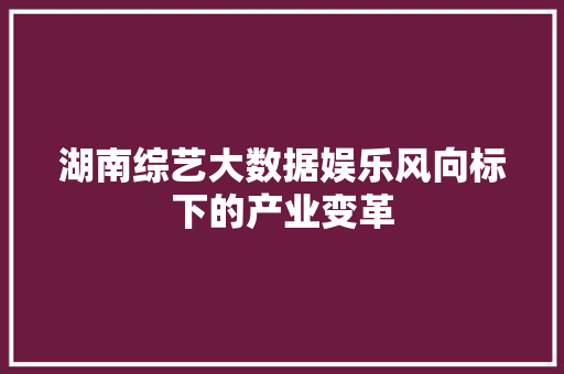 湖南综艺大数据娱乐风向标下的产业变革