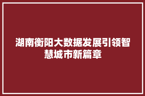 湖南衡阳大数据发展引领智慧城市新篇章