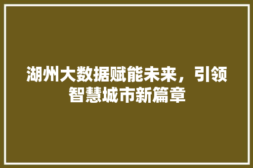 湖州大数据赋能未来，引领智慧城市新篇章