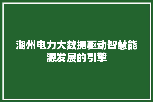 湖州电力大数据驱动智慧能源发展的引擎