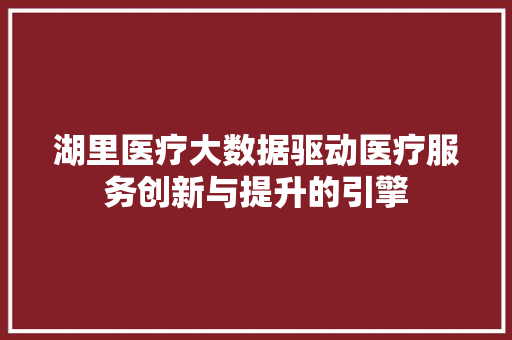 湖里医疗大数据驱动医疗服务创新与提升的引擎