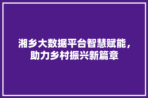 湘乡大数据平台智慧赋能，助力乡村振兴新篇章