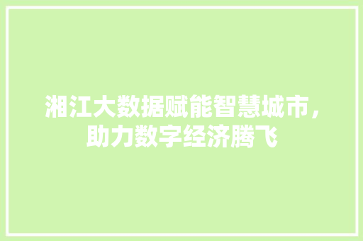 湘江大数据赋能智慧城市，助力数字经济腾飞