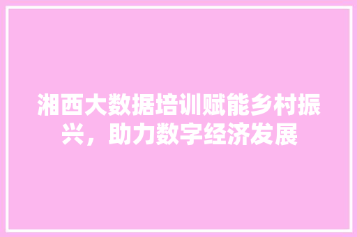 湘西大数据培训赋能乡村振兴，助力数字经济发展