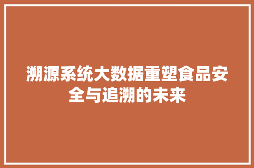溯源系统大数据重塑食品安全与追溯的未来