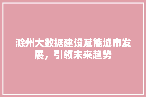 滁州大数据建设赋能城市发展，引领未来趋势