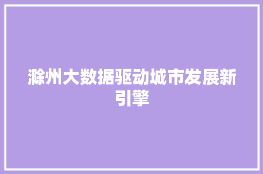 滁州大数据驱动城市发展新引擎
