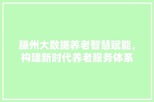 滕州大数据养老智慧赋能，构建新时代养老服务体系