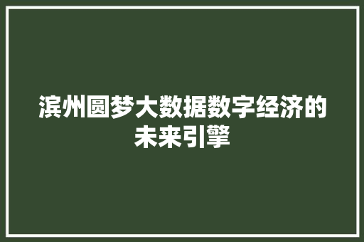 滨州圆梦大数据数字经济的未来引擎