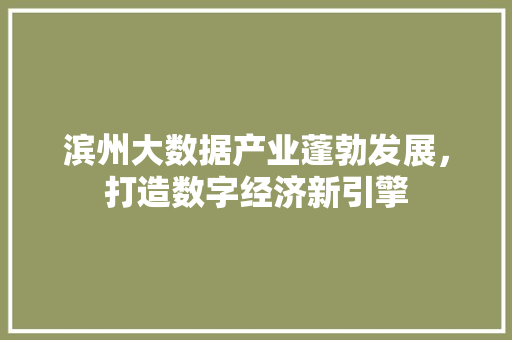 滨州大数据产业蓬勃发展，打造数字经济新引擎