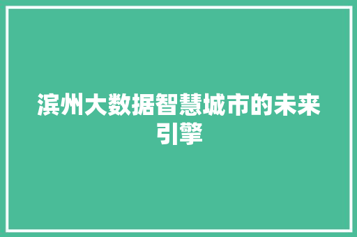 滨州大数据智慧城市的未来引擎