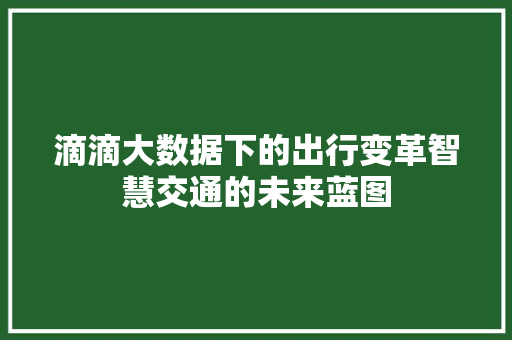 滴滴大数据下的出行变革智慧交通的未来蓝图