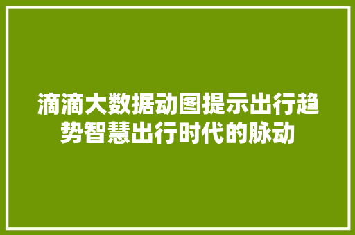 滴滴大数据动图提示出行趋势智慧出行时代的脉动