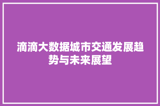 滴滴大数据城市交通发展趋势与未来展望
