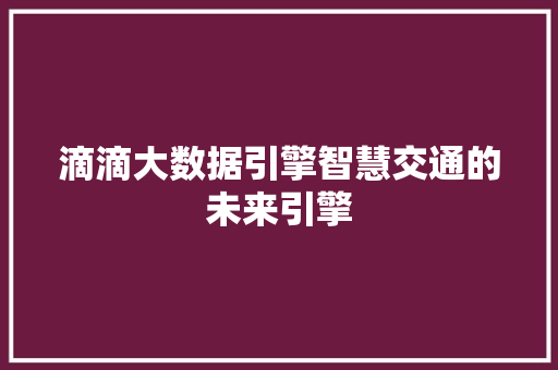 滴滴大数据引擎智慧交通的未来引擎