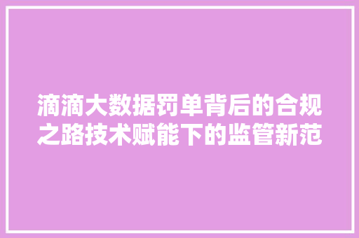 滴滴大数据罚单背后的合规之路技术赋能下的监管新范式