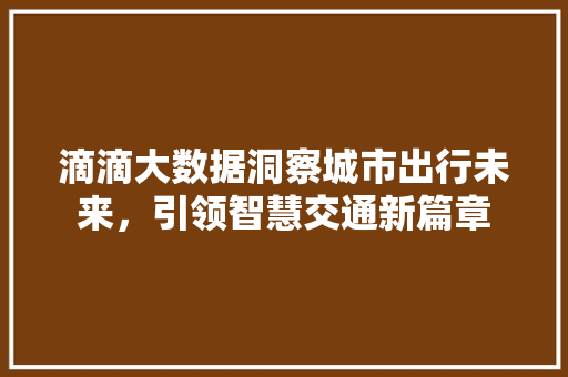 滴滴大数据洞察城市出行未来，引领智慧交通新篇章