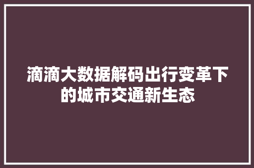 滴滴大数据解码出行变革下的城市交通新生态