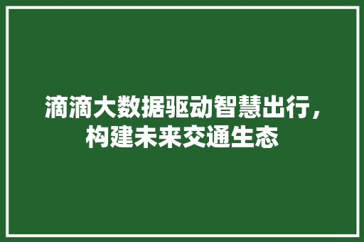 滴滴大数据驱动智慧出行，构建未来交通生态