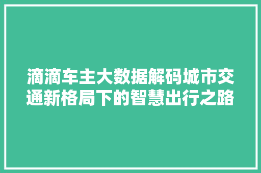 滴滴车主大数据解码城市交通新格局下的智慧出行之路