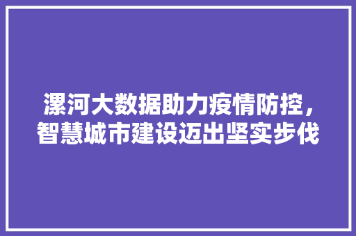 漯河大数据助力疫情防控，智慧城市建设迈出坚实步伐