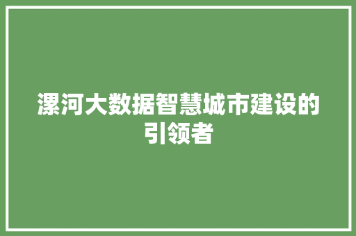 漯河大数据智慧城市建设的引领者