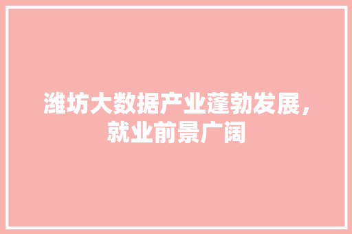潍坊大数据产业蓬勃发展,就业前景广阔 潍坊大数据产业蓬勃发展,就业前景广阔