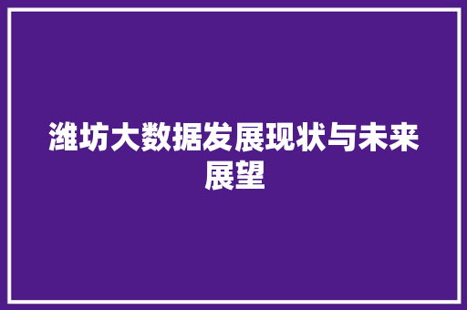 潍坊大数据发展现状与未来展望