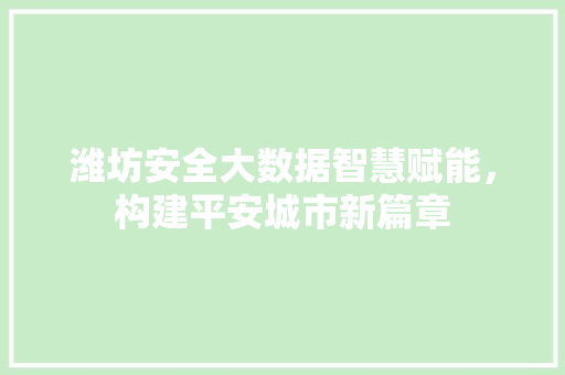潍坊安全大数据智慧赋能，构建平安城市新篇章