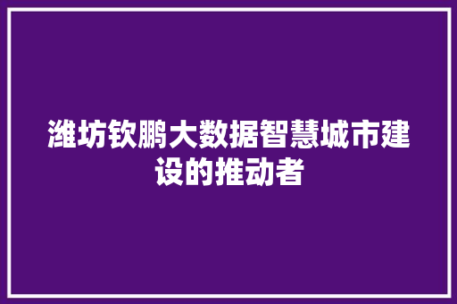 潍坊钦鹏大数据智慧城市建设的推动者