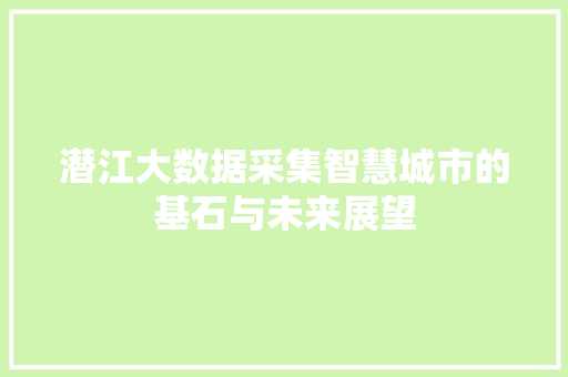 潜江大数据采集智慧城市的基石与未来展望