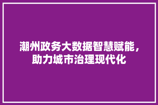 潮州政务大数据智慧赋能，助力城市治理现代化