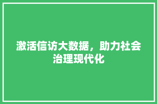激活信访大数据，助力社会治理现代化