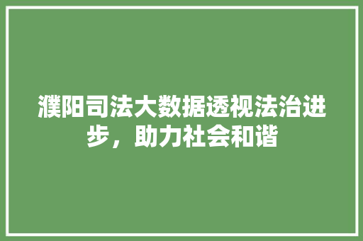 濮阳司法大数据透视法治进步，助力社会和谐