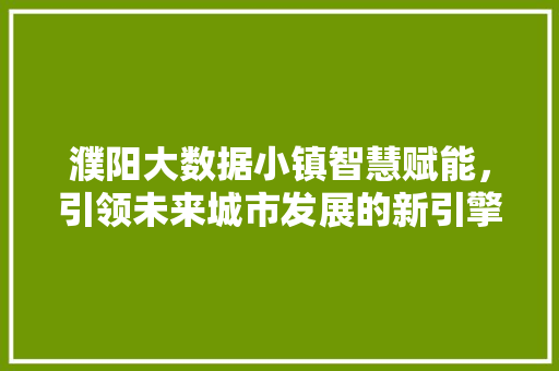 濮阳大数据小镇智慧赋能,引领未来城市发展的新引擎 濮阳大数据小镇智慧赋能,引领未来城市发展的新引擎