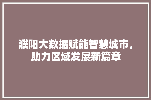 濮阳大数据赋能智慧城市,助力区域发展新篇章 濮阳大数据赋能智慧城市,助力区域发展新篇章