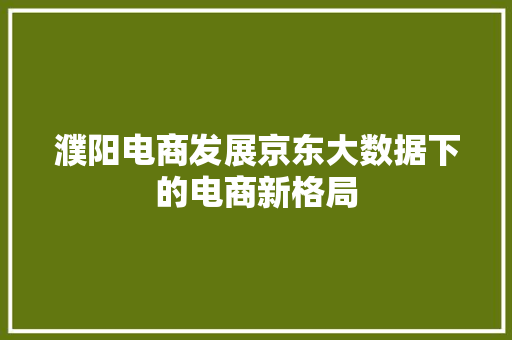濮阳电商发展京东大数据下的电商新格局