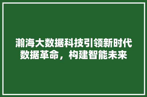 瀚海大数据科技引领新时代数据革命，构建智能未来