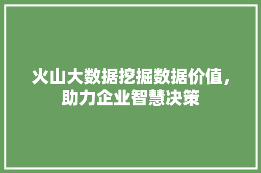 火山大数据挖掘数据价值，助力企业智慧决策