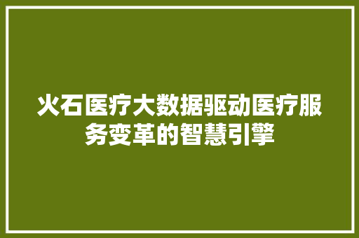 火石医疗大数据驱动医疗服务变革的智慧引擎