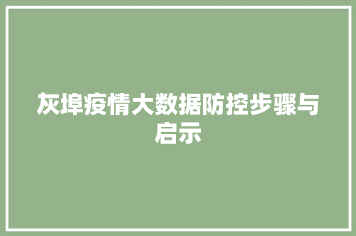 灰埠疫情大数据防控步骤与启示