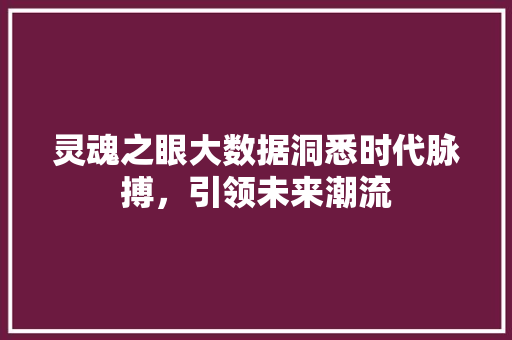 灵魂之眼大数据洞悉时代脉搏，引领未来潮流