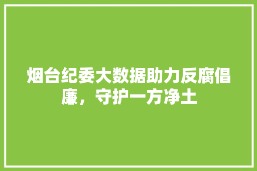 烟台纪委大数据助力反腐倡廉,守护一方净土 烟台纪委大数据助力反腐倡廉,守护一方净土