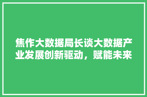 焦作大数据局长谈大数据产业发展创新驱动，赋能未来
