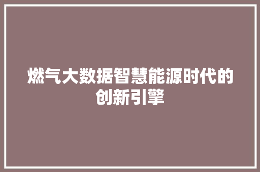 燃气大数据智慧能源时代的创新引擎 燃气大数据智慧能源时代的创新引擎