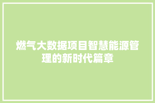 燃气大数据项目智慧能源管理的新时代篇章 燃气大数据项目智慧能源管理的新时代篇章