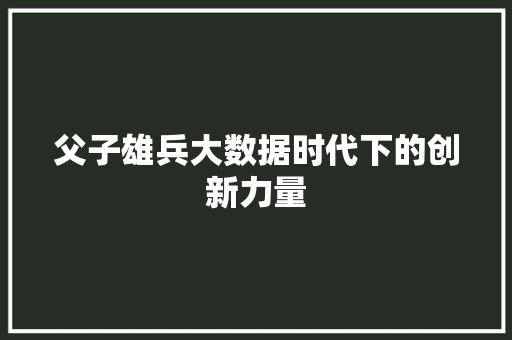 父子雄兵大数据时代下的创新力量