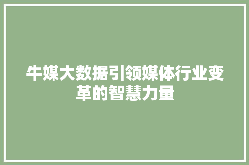 牛媒大数据引领媒体行业变革的智慧力量