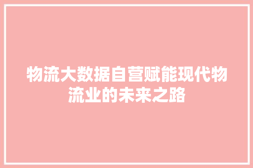 物流大数据自营赋能现代物流业的未来之路