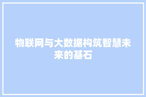 物联网与大数据构筑智慧未来的基石